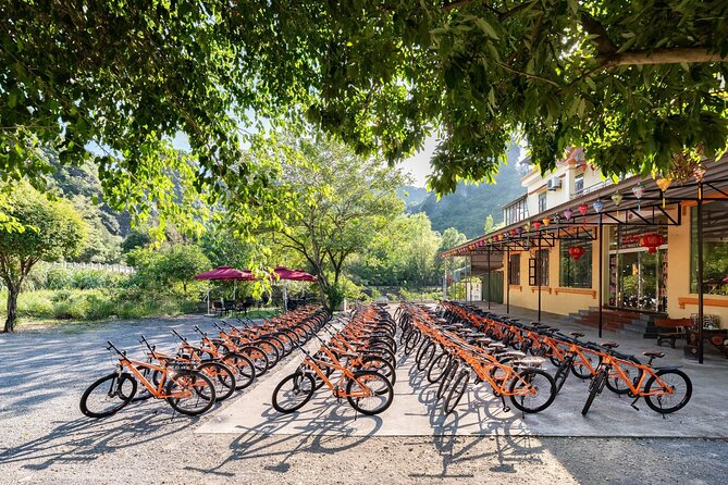 Ninh Binh Day Trip: Bai Dinh-Trang An-Mua Cave, Buffet, Boat, Bus - Price, Fitness, and the Best Fit for Your Travel Style