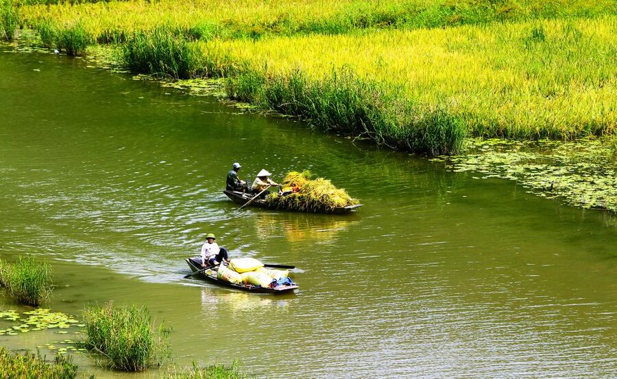 Ninh Binh: Hoa Lu, Trang An and Mua Caves Hiking Day Trip - Trang An Ecotourism Complex: The Bamboo Boat That Sets the Mood