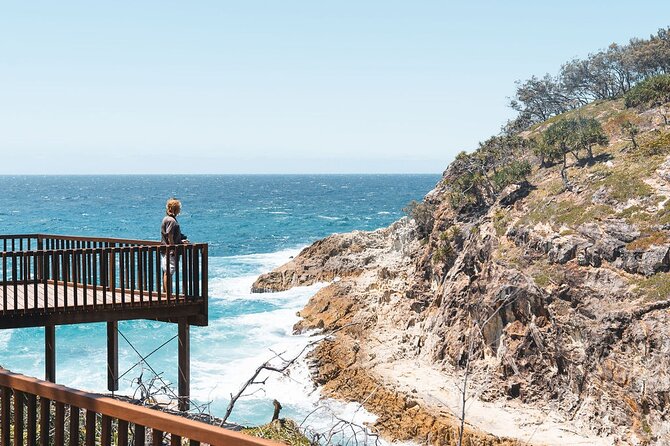 North Stradbroke Island Day Tour from Brisbane – Small Group - Myora Springs Conservation Area: Freshwater With Cultural Meaning