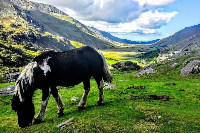North Wales Adventure Sightseeing Day Trip from Liverpool - Why This North Wales Day Trip Works From Liverpool