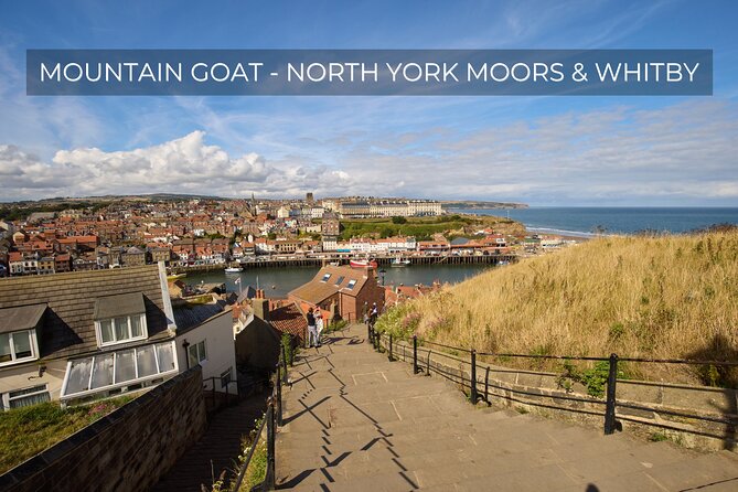 North York Moors and Whitby Day Tour from York - Key things I’d clock before you go