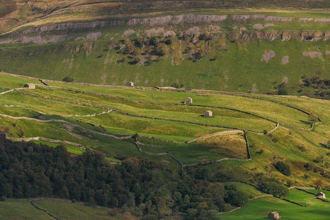 North York Moors and Whitby Day Tour from York - North York Moors National Park: quick viewpoint time, big payoff