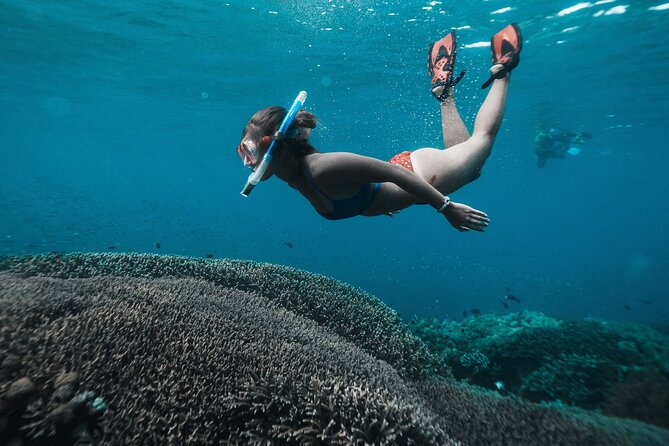 Nusa Penida day trip: boat, 4 snorkeling, Manta rays & Land tour - SD Point Snorkeling: Coral Garden Time With a Smoother Pace
