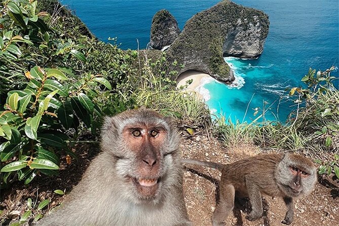 Nusa Penida day trip: boat, 4 snorkeling, Manta rays & Land tour - Wall Bay Snorkeling: Reef Fish and Coral After Lunch