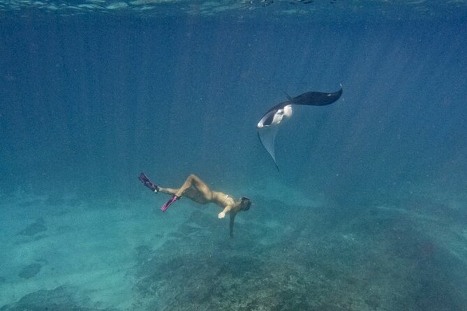 Nusa Penida day trip: boat, 4 snorkeling, Manta rays & Land tour - Nusa Lembongan Snorkeling: Mangrove Point Drift for Corals and Turtles