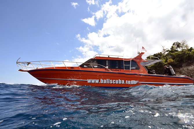 Nusa Penida Day Trip for 3 dives - Three tank schedule: what you’re actually paying for