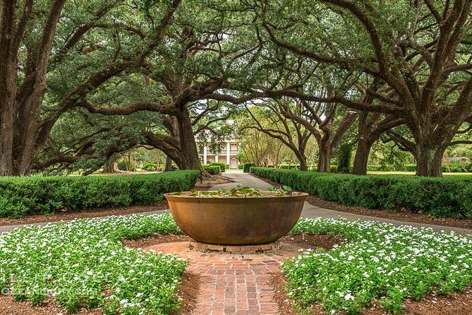 Oak Alley Plantation Half-Day Tour from New Orleans - The ride out of New Orleans: smooth logistics, real timing
