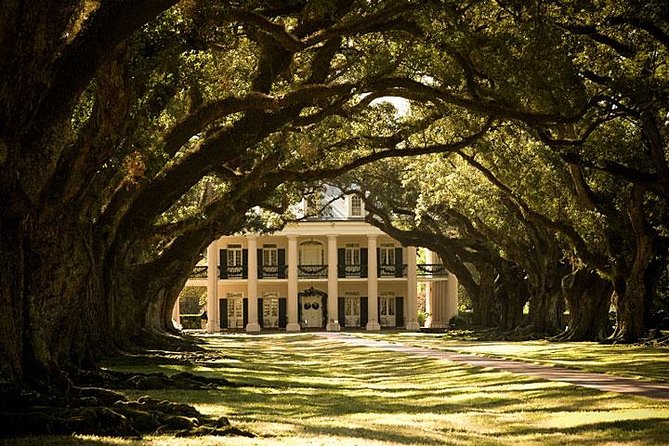 Oak Alley Plantation Half-Day Tour from New Orleans - Two hours to roam: grounds, exhibits, and the blacksmith shop