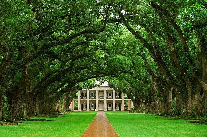 Oak Alley Plantation Half-Day Tour from New Orleans - Timing realities: why some days feel rushed (and how to avoid it)