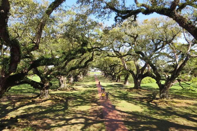 Oak Alley Plantation Half-Day Tour from New Orleans - The Big House tour with period costume: what you should expect