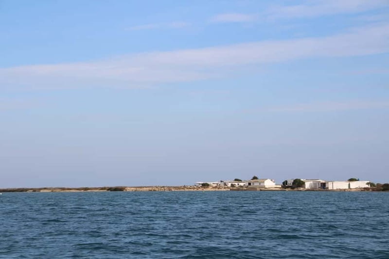 Olhão: Ria Formosa 3 Islands Guided Day Trip by Boat - Who This Tour Fits Best