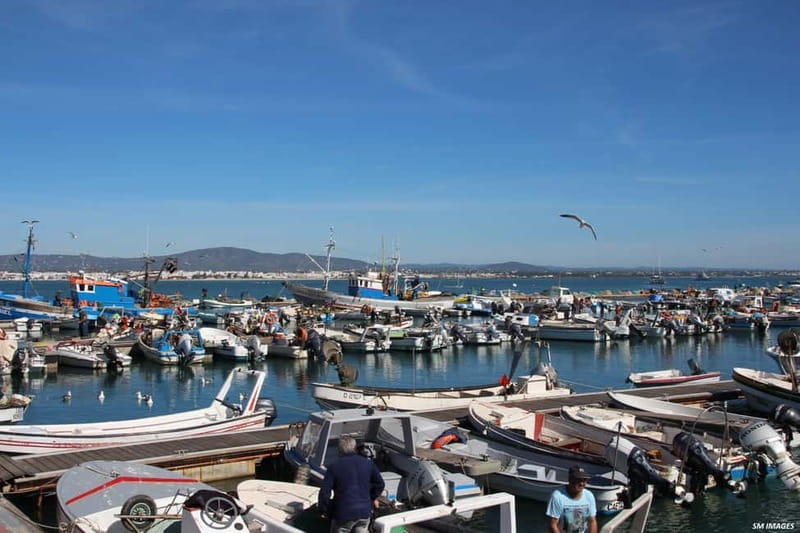 Olhão: Ria Formosa 3 Islands Guided Day Trip by Boat - Ilha do Farol: Photo Stop Views With a Chill Hour