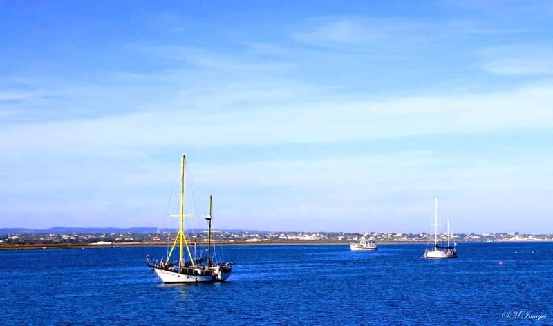 Olhão: Ria Formosa 3 Islands Guided Day Trip by Boat - What to Bring (So You Don’t End Up Buying a Hat)