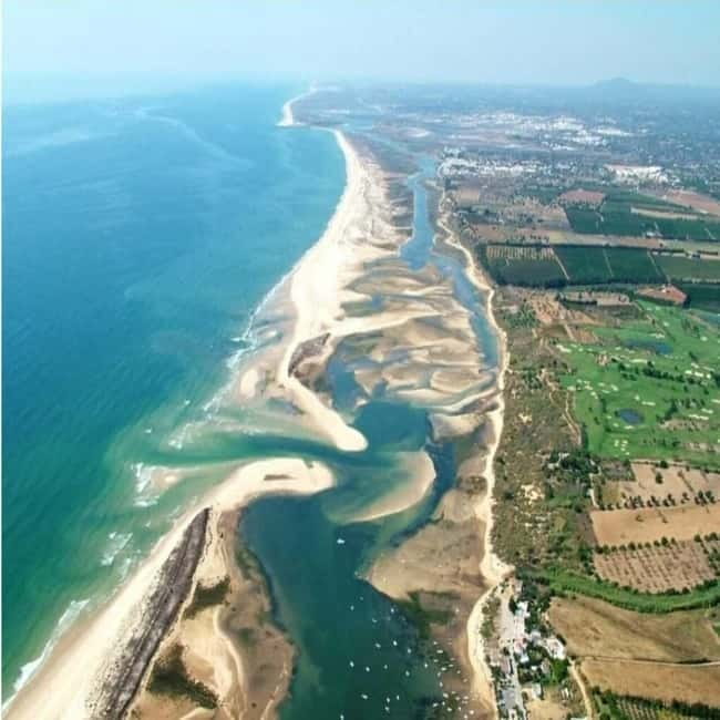 Olhão: Ria Formosa 3 Islands Guided Day Trip by Boat - Armona Island: Swimming Options and Sandbank Time