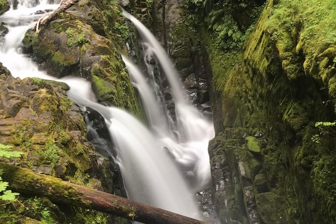Olympic National Park Day Tour from Seattle - Key things that make this Olympic day tour work
