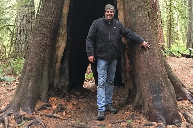 Olympic National Park Day Tour from Seattle - Winslow, an old lumber town, and the floating bridge porpoise quest