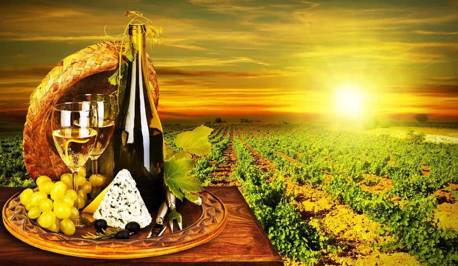 Organic Wine Tasting with Saint paul Half Day Tour from Nice - Key highlights you’ll feel on this tour