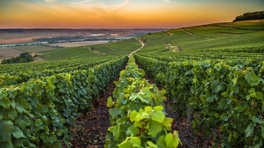 Organic Wine Tasting with Saint paul Half Day Tour from Nice - Saint-Jeannet organic wine tasting: what 6 pours actually teach you