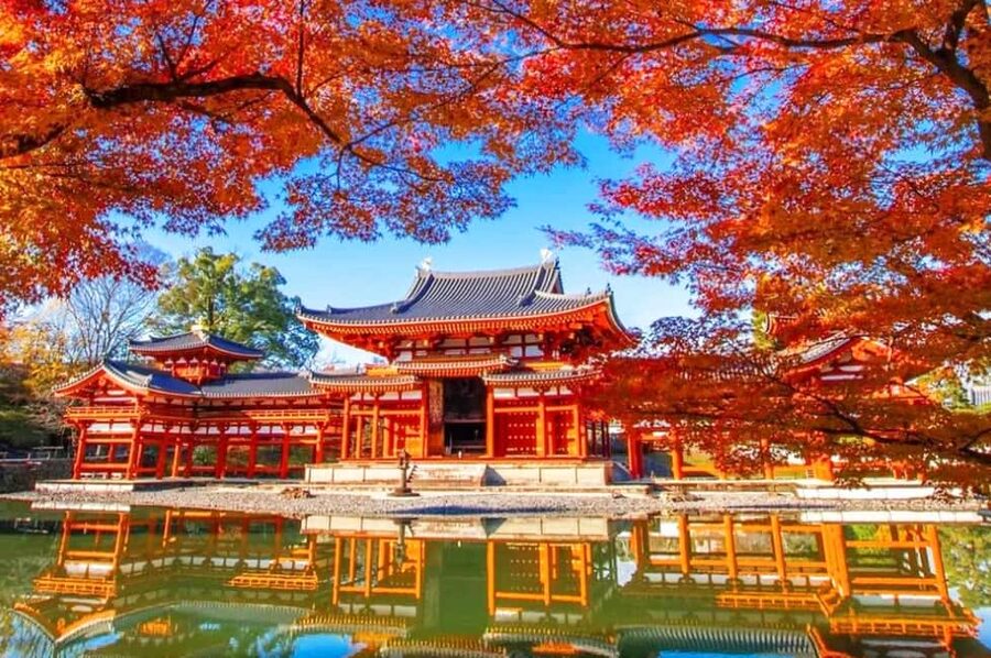 Osaka: Nara and Uji Day Trip with Deer Park and Hot Spring - Kasuga Taisha lanterns: bronze and stone at human pace