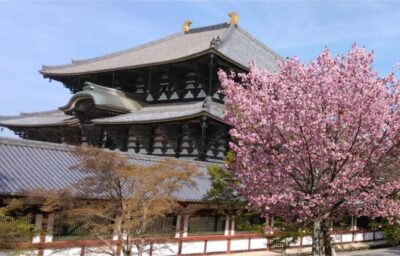 Osaka: Nara and Uji Day Trip with Deer Park and Hot Spring - Todai-ji and the Great Buddha: what you’re really seeing