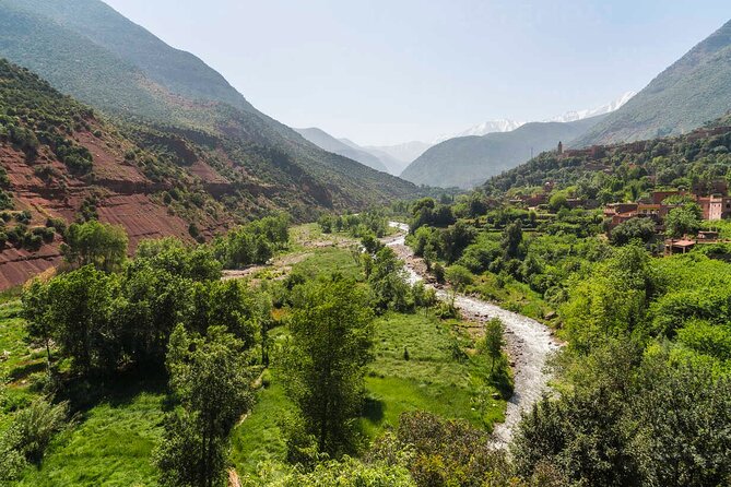 Ourika Valley Waterfalls - Vallée Ourika Day Trip - From Marrakech to the High Atlas: Pickup, Timing, and Comfort