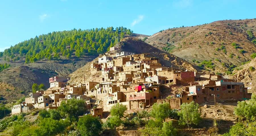 Ourika Valley with Atlas Mountains Day Trip from Marrakech - What makes the experience feel smooth: drivers and on-the-ground help