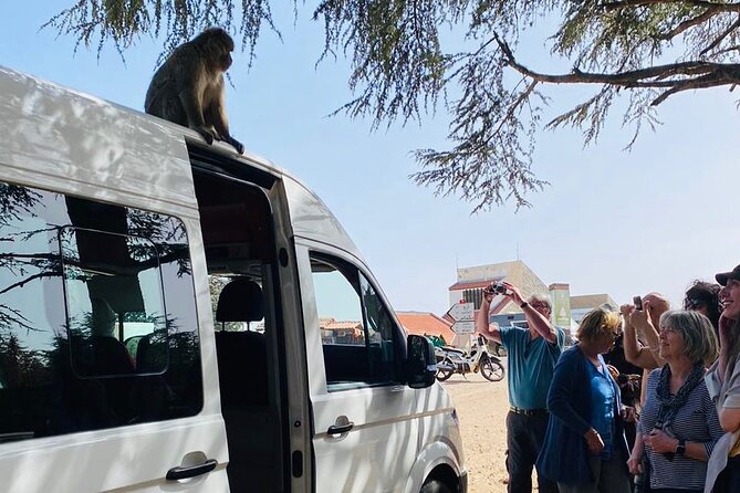 Ouzoud Waterfalls Day Trip - Cascade Ouzoud - Ouzoud Falls - Monkeys at Ouzoud: A Wildlife Moment You’ll Remember