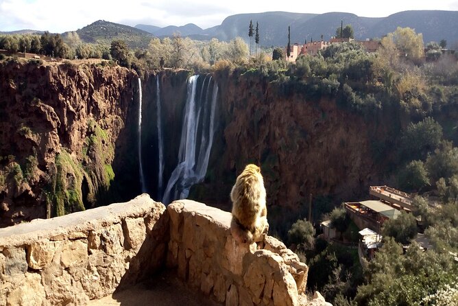 Ouzoud Waterfalls Full Day Trip From Marrakech - Getting back to Marrakech with a last coffee stop