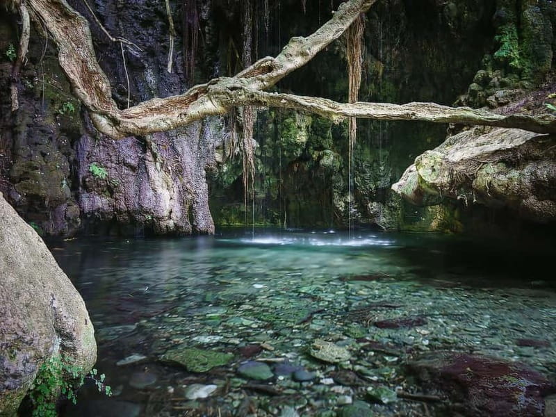 Paphos: Blue Lagoon, Aphrodite's Baths & Sea Caves Day Trip - Why This Paphos Blue Lagoon Day Trip Feels Like a Best-Of