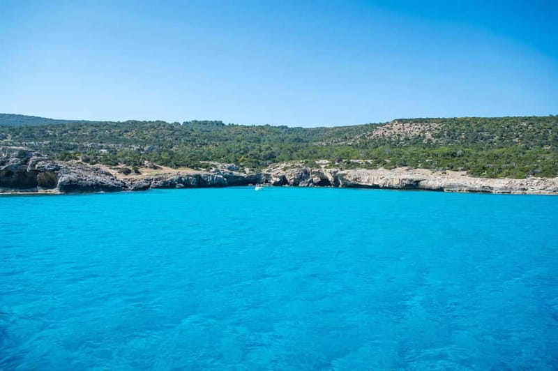 Paphos: Blue Lagoon, Aphrodite's Baths & Sea Caves Day Trip - Latchi Harbour Lunch Break: Where You Actually Reset