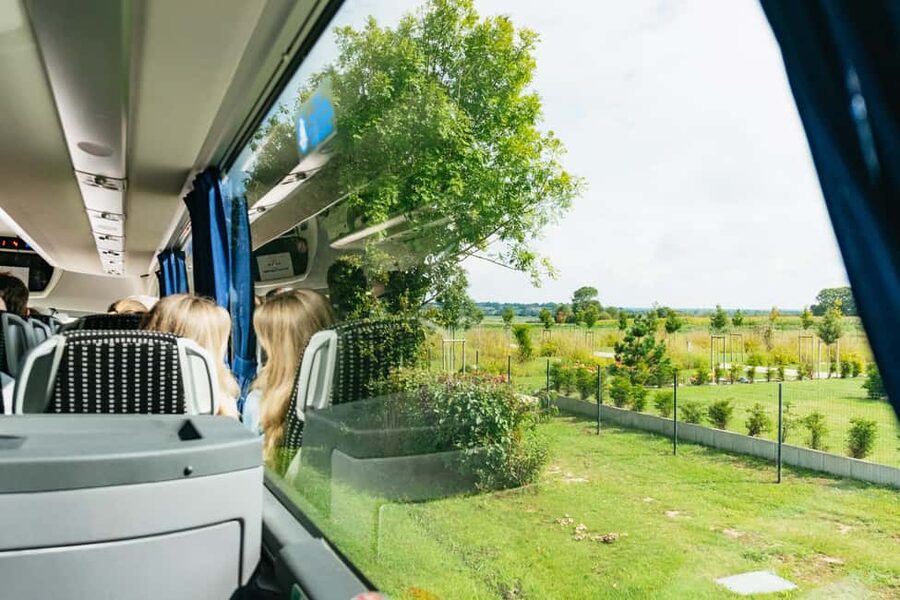 Paris: Normandy D-Day Sites Guided Day Trip with Lunch - Coach comfort, timing, and who this day trip fits best