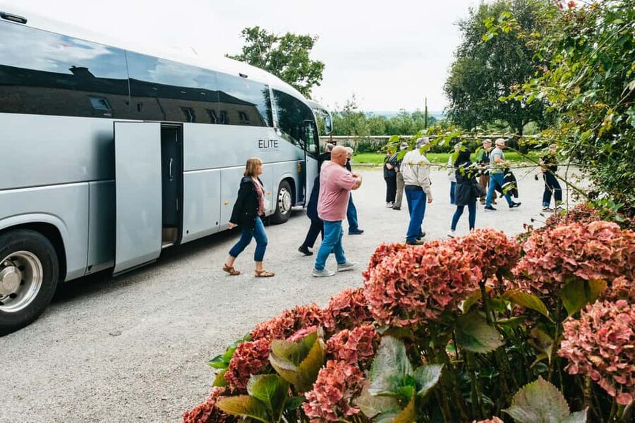 Paris: Normandy D-Day Sites Guided Day Trip with Lunch - Utah Beach Museum: the bunker start that makes the story click