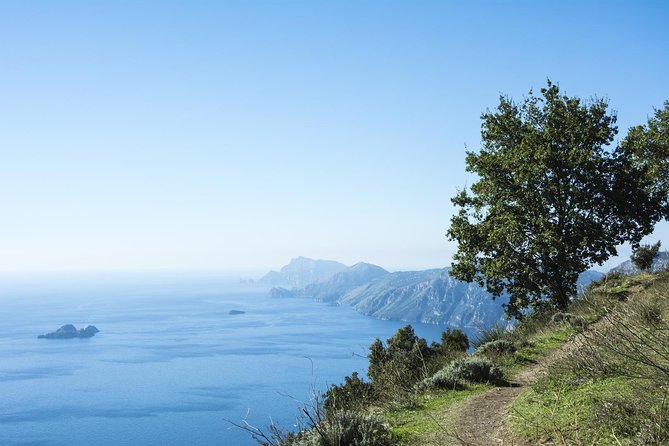 Path of the Gods Hiking Day Tour from Sorrento - The Big Picture: a guided Path of the Gods day from Sorrento