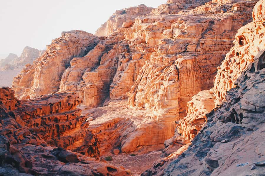 Petra & Wadi Rum: Full Day Private Tour with Hotel Pickup - How much time do you really have in Petra?