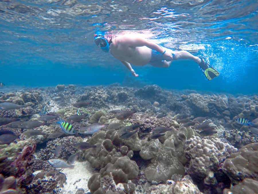 Phi Phi & Bamboo Islands: Premium Day Trip w/ Seaview Lunch - Key moments that make this day trip worth your time