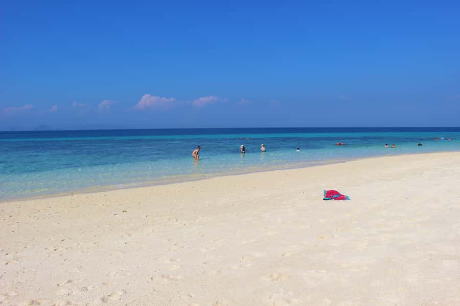 Phi Phi & Bamboo Islands: Premium Day Trip w/ Seaview Lunch - Monkey Beach at Yong Kasem: great photos, keep your distance