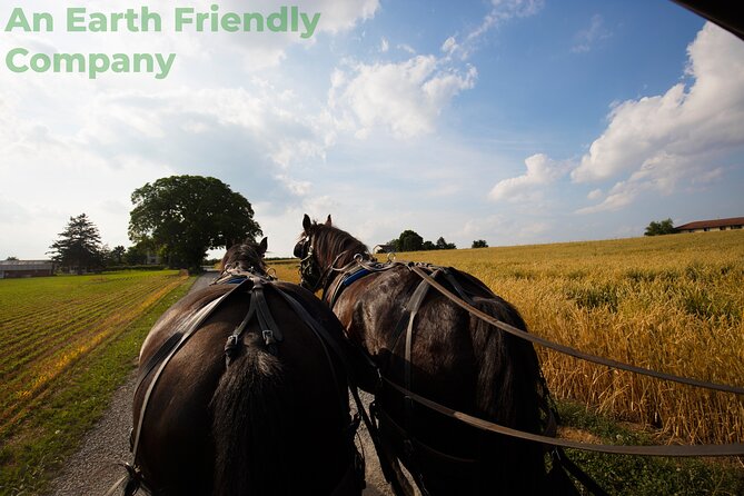Philadelphia and Amish Country, 1-Day Tour from NYC - Price and value: paying $139 for a guided one-day shortcut