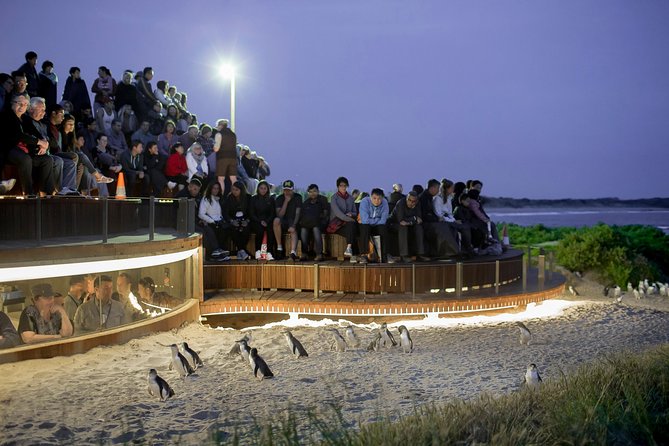 Phillip Island Day Trip from Melbourne with Penguin Plus Viewing Platform - Hitting Phillip Island at the right time for penguins