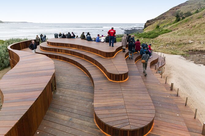 Phillip Island Day Trip from Melbourne with Penguin Plus Viewing Platform - Penguin Parade with the Penguin Plus platform: what to expect