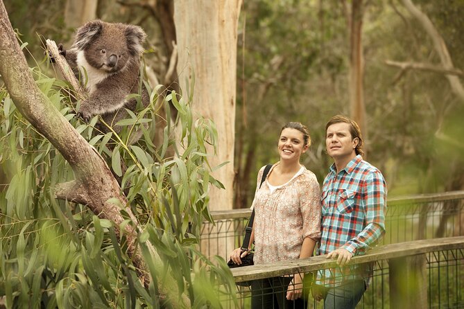 Phillip Island Day Trip from Melbourne with Penguin Plus Viewing Platform - Melbourne-to-Phillip Island by coach: what 9.5 hours really means