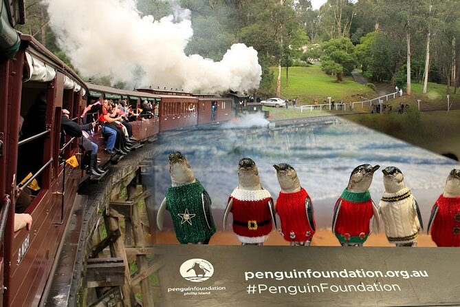 Phillip Island Penguins & Wildlife Day Tour from Melbourne - Penguin Parade at Phillip Island Nature Parks: the star of the show