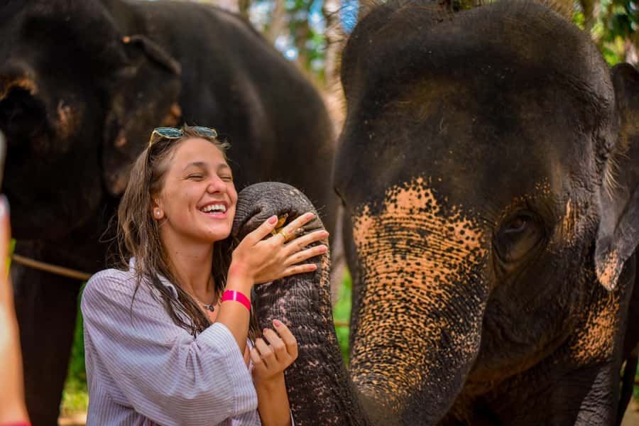 Phuket: Lily Elephant Half day Trip on the Beach with lunch - Key things I’d bet you’ll care about most