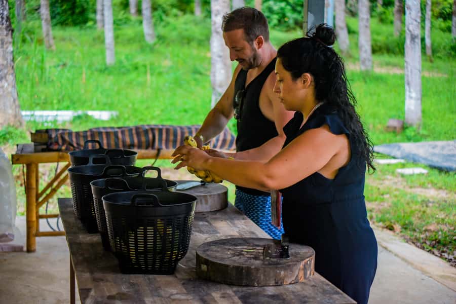 Phuket: Lily Elephant Half day Trip on the Beach with lunch - Should you book Lily Elephant Camp’s beach trip?