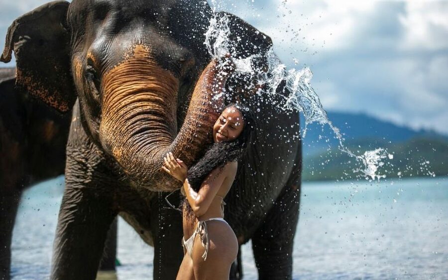 Phuket: Lily Elephant Half day Trip on the Beach with lunch - Price and logistics: is $83 good value?