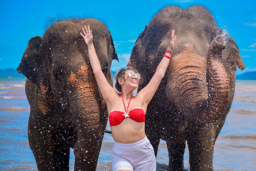 Phuket: Lily Elephant Half day Trip on the Beach with lunch - The flow of your half day: from wildlife viewing to a private beach