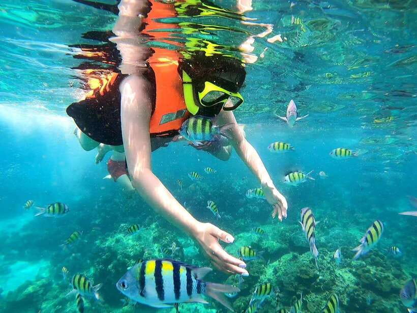 Phuket: Phi Phi Islands and Maya Bay Day Trip with Lunch - Stop 1: Pileh Lagoon swim break with boat jumps