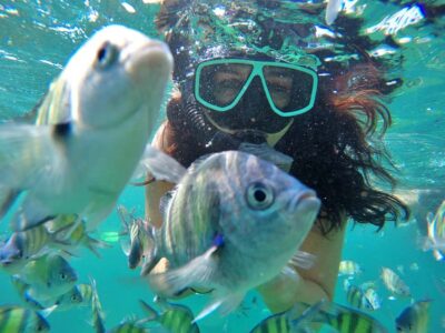 Phuket: Phi Phi & James Bond Island Combo Day Tour w/Lunch - The early Maya Bay stop: where timing actually matters