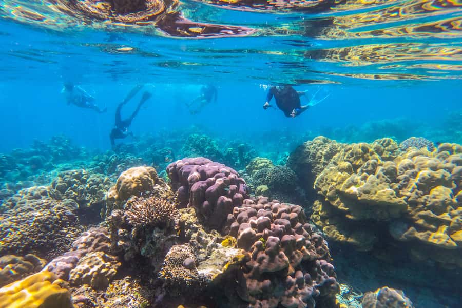Phuket: Similan day full day trip by speedboat - How this Phuket-to-Similans day trip really feels in real time