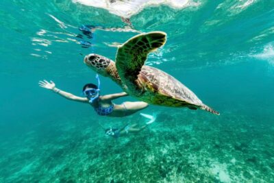 Phuket: Similan day full day trip by speedboat - Ko Miang, Ko Payu, and Ko Bangu: the quick stops that set expectations