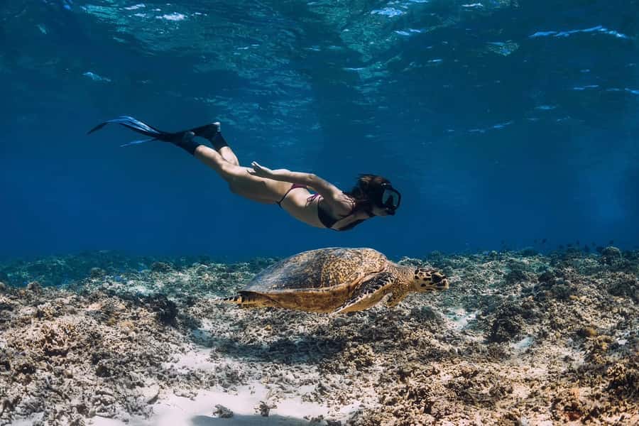 Phuket: Similan day full day trip by speedboat - Speedboat ride reality: how to stay comfortable and safe